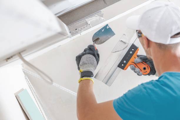 Best Drywall for Remodeling  in Sebewaing, MI